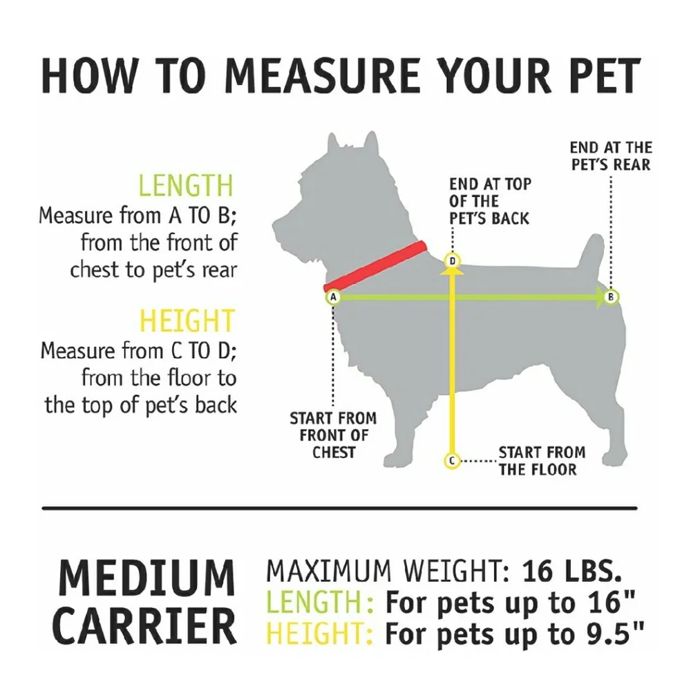 Pet Carrier Airline Approved, Medium, Charcoal